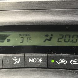 第八平成丸 釣果