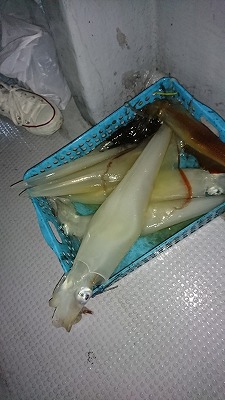 海龍丸(福岡) 釣果