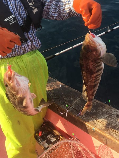 第八平成丸 釣果