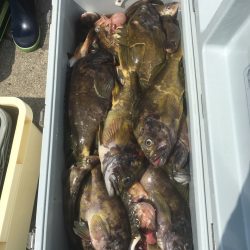 第八平成丸 釣果