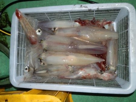 第二むつ漁丸 釣果