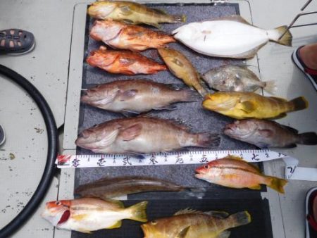 第二一之紀丸（ダイニイチノキマル） 釣果