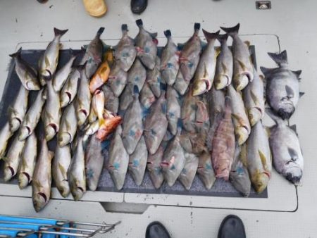 第二一之紀丸(ダイニイチノキマル) 釣果