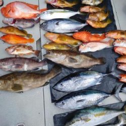 第二一之紀丸（ダイニイチノキマル） 釣果