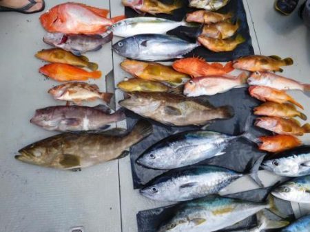 第二一之紀丸（ダイニイチノキマル） 釣果