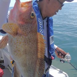 遊漁船 新鋭丸 釣果