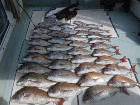 遊漁船 幸友丸 釣果