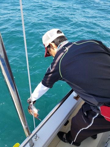 遊漁船　ニライカナイ 釣果