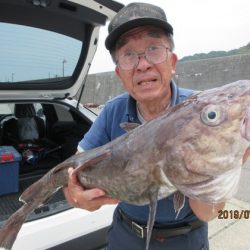 大進丸(新潟) 釣果