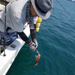 遊漁船 ニライカナイ 釣果