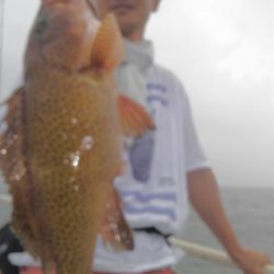 遊漁船 新鋭丸 釣果