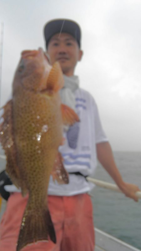 遊漁船 新鋭丸 釣果