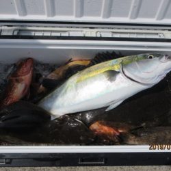 大進丸(新潟) 釣果