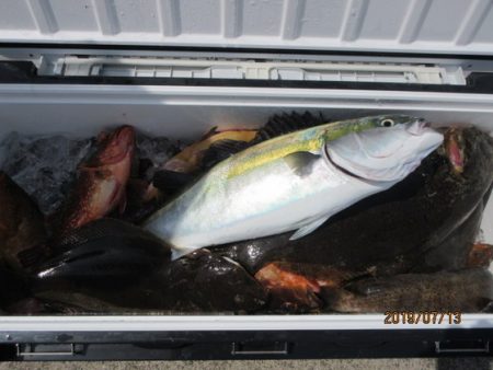 大進丸(新潟) 釣果