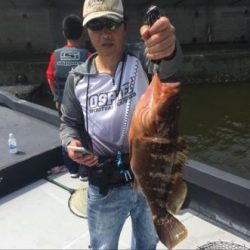 シーマジカル 釣果