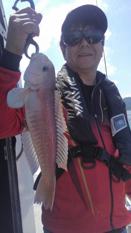 遊漁船 新鋭丸 釣果