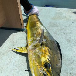 徳島県南レンタルボート～牟岐大島～【きしょう氏連載 vol.12】