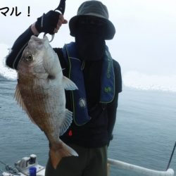 遊漁船 幸友丸 釣果