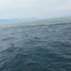 第五慶門丸 釣果