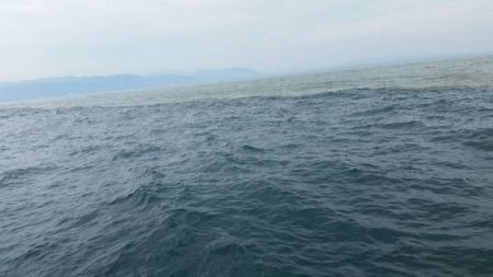 第五慶門丸 釣果