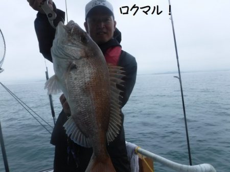 遊漁船 幸友丸 釣果