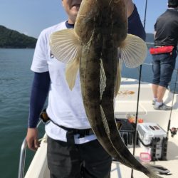 Magic(マジック) 釣果