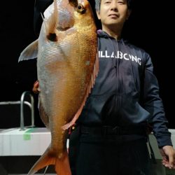 泰丸 釣果