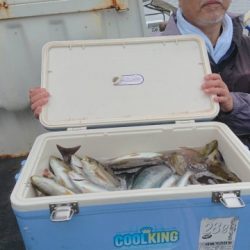 松栄丸 釣果
