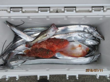 大進丸（新潟） 釣果