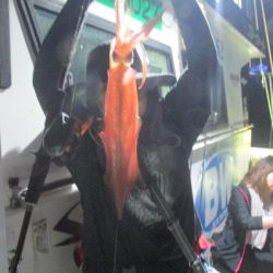 ジギング船 BLUEWATER 釣果