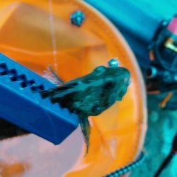 浜名湖 ライトゲーム