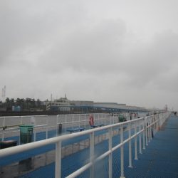 オリジナルメーカー海づり公園(市原市海づり施設) 釣果