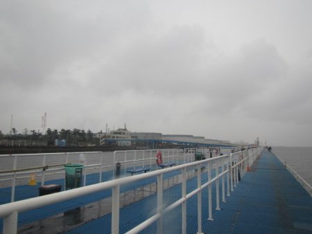 オリジナルメーカー海づり公園(市原市海づり施設) 釣果