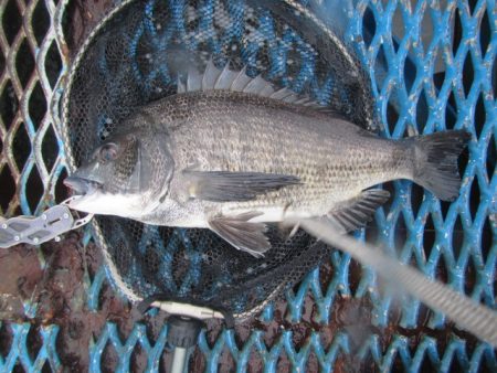 オリジナルメーカー海づり公園(市原市海づり…