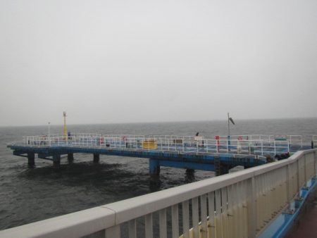 オリジナルメーカー海づり公園(市原市海づり施設) 釣果