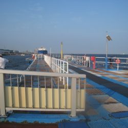 オリジナルメーカー海づり公園(市原市海づり施設) 釣果