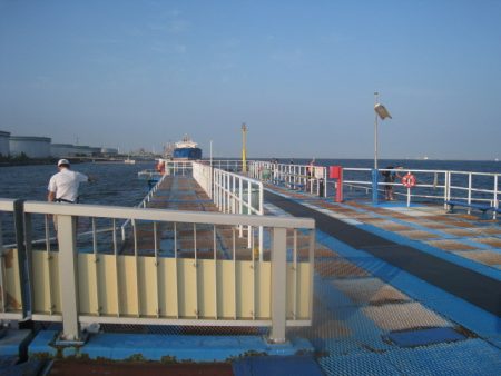 オリジナルメーカー海づり公園(市原市海づり施設) 釣果