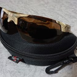 フィッシングボートACE(エース) 釣果