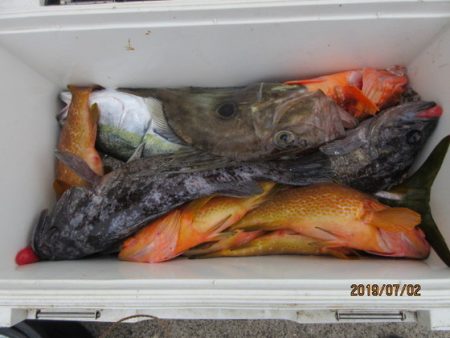 大進丸（新潟） 釣果