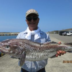 大進丸（新潟） 釣果
