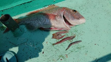和栄丸 釣果