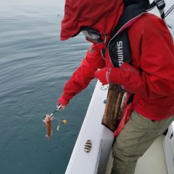 遊漁船 ニライカナイ 釣果