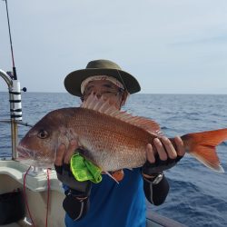 海峰 釣果