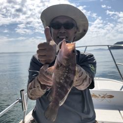 Magic（マジック） 釣果