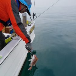 遊漁船 ニライカナイ 釣果