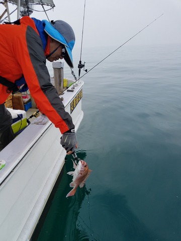 遊漁船 ニライカナイ 釣果