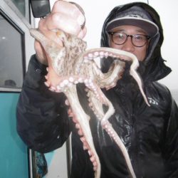 かもめ釣船 釣果