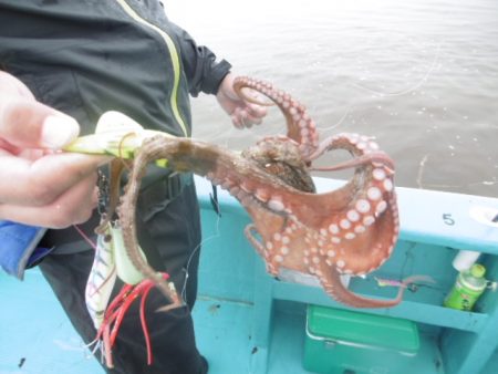 かもめ釣船 釣果