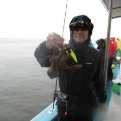 かもめ釣船 釣果