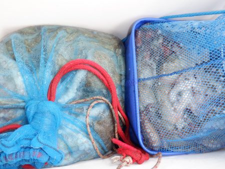 かもめ釣船 釣果